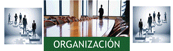 Organizacion